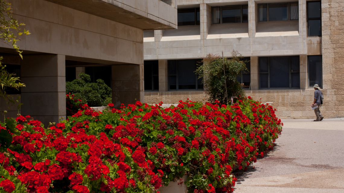  buber-rousso_building