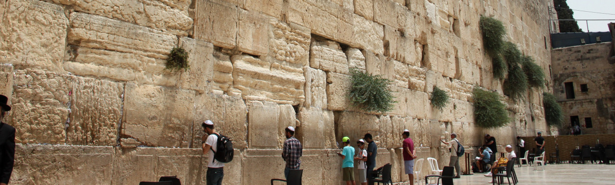 PikiWiki_Israel_50544_jerusalem. עומר מרקובסקי, מתוך אתר פיקיויקי